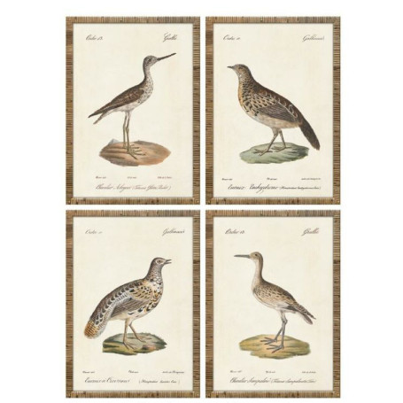 Cadre Home ESPRIT Beige Oiseaux Cottage 40 x 2