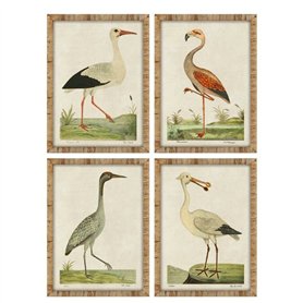 Cadre Home ESPRIT Beige Oiseaux Traditionnel 50 x 2