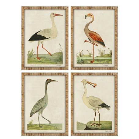 Cadre Home ESPRIT Beige Oiseaux Traditionnel 50 x 2