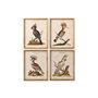 Cadre Home ESPRIT Beige Tropical 40 x 2 x 50 cm (4 Unités)