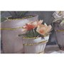 Cadre Home ESPRIT Pot Traditionnel 120 x 3 x 60 cm (2 Unités)