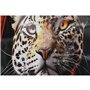 Cadre Home ESPRIT Jaune Bleu Noir Rose Animal Moderne Laqué 50 x 4 x 100 cm (3 Unités)