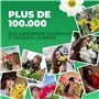 Collection de 5 Plantes Canna Géantes - Mélange de 5 Variétés - Grandes Plantes Vivaces Racines Nues des Pays-Bas (pas de graine