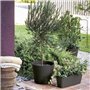 Pot de fleurs - DEROMA - Origin - 24 L - Anthracite