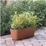Jardiniere - DEROMA - Origin - 18 L - Terre cuite
