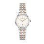Montre Femme Philip Watch R8253150510 Argenté (Ø 30 mm)