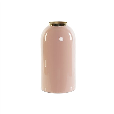 Vase DKD Home Decor Vert Doré Corail Fer Laqué 13 x 13 x 25 cm (2 Unités)