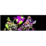 Splatoon [import anglais]