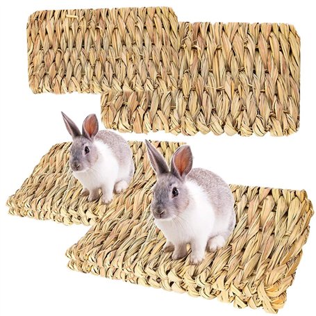 RoadLoo Lapin Lits Mâcher