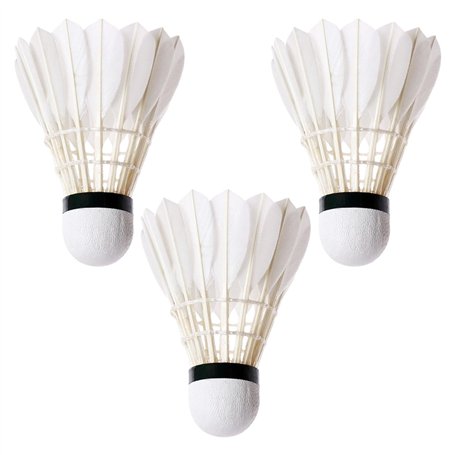 LearnLyrics Volants de badminton
