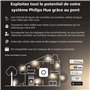 Philips Hue White LUCCA Potelet extérieur 1x9.5W - Anthracite, fonctionne avec Alexa, Google Assistant et Apple Homekit