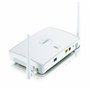 Zyxel NWA-3160-N - Drahtlose Basisstation - 802.11a/b/g/n - Dualband