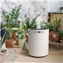 Humidifieur à Vapeur pour Toute la Maison et Plantes