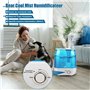 Bear 6L Top Remplissage À Double Buse Humidificateur, Poignée De Transport Ergonomique Avec Disque D'Aromathérapie, Buse De Vape