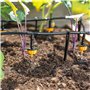 Esotec 101100 Kit complet d'arrosage/Système d'irrigation solaire complet avec 15 goutte-à-goutte Vert