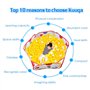 KUUQA 100CM Tente de Jeu Piscine à Balles pour Enfants avec Sac de Rangement (Balles Non Comprises)