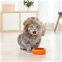 Crinière de Lion pour Chien, Chat Chien Perruque Chapeau Costume Creative Mignon Chien Chat Costume Accessoires de Photomaton Ac