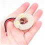 WANGCL 1 ensemble de charbon de moteur Burch pour HILTI SFC14-A SFC14A SFC22A SFC-A SFC-22A Outils de moteur - 3 x 8 x 13 mm