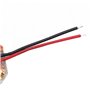 WANGCL 1 ensemble de charbon de moteur Burch pour HILTI SFC14-A SFC14A SFC22A SFC-A SFC-22A Outils de moteur - 3 x 8 x 13 mm