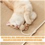 XRPRPX Tapis Griffoir pour Chat Antidérapant 59x39 cm, Tapis Sisal Naturel Beige Tapis à Gratter Horizontal Durable Tapis pour C
