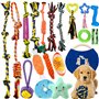 AMAYGA Jouet pour Chien