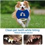 20 Jouets Balles pour Chien