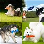 AMAYGA Jouet pour Chien,20 Jouets Balles pour Chien,houets pour Chiens Jouet de Corde à Mâcher,durables mâcher Corde,Coton Natur