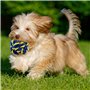 AMAYGA Jouet pour Chien,20 Jouets Balles pour Chien,houets pour Chiens Jouet de Corde à Mâcher,durables mâcher Corde,Coton Natur