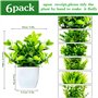 Plante Artificiel