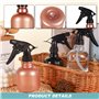 Eteamcan Lot de 3 flacons pulvérisateurs vides pour petits cheveux - 250 ml - Petits flacons pulvérisateurs d'eau pour coiffeur 