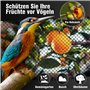 les arbres fruitiers