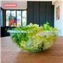 Table'Colors Pack de 6 Saladiers Réutilisables 4,5 L avec 6 Couvercles - Fabriquée en France - Dur transparent et recyclable - I