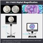 Andonstar Microscope numérique HDMI 4K 60FPS 10,1" pour soudure, enregistrement audio vidéo UHD 64 MP 3840p, microscope électron