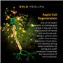 GOLD HEALING Ormus Liquide 200 ml 70 % Or monatomique, 30 % Magnésium, Mana, Mufkutz, Éléments monoatomiques orbitalement réarmé