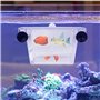 Huayue Boîte d'Isolation et d'Élevage de Poisson - Écloserie et Couveuse en Plastique pour Aquariums avec 4 Ventouses (Transpare