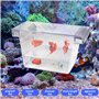 Huayue Boîte d'Isolation et d'Élevage de Poisson - Écloserie et Couveuse en Plastique pour Aquariums avec 4 Ventouses (Transpare