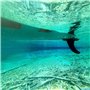 Glory Boards SUP Finne Premium pour stand up paddle Board - Forme améliorée pour moins de résistance - Qualité supérieure - Pour