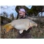 CarpeXpert – Lot de Filet PVA Soluble & Bait Smoke Rouge – Kit d’Amorçage Premium pour Pêche à la Carpe – Filet de 37mm x 5m - D