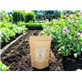 Alga Vigora - Floral Boost - Engrais Naturel pour Floraison Abondante et Fructification Optimal - Formule à base d'Algues Ascoph