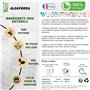 Alga Vigora - Floral Boost - Engrais Naturel pour Floraison Abondante et Fructification Optimal - Formule à base d'Algues Ascoph