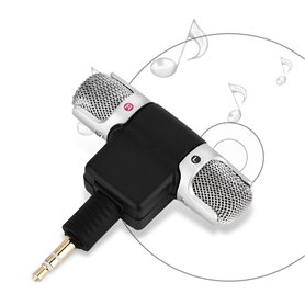 VBESTLIFE Mini Microphone pour PC
