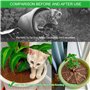 Protection Plante Chat, 2 Pièces Grilles de Pots de Plantes Cache-Pot de Fleurs Jusqu'à 30 cm Couvercle de Protection du Sol pou