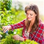 2 Ciseaux Jardinage Professionnel Ergonomique
