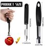 ZYEKIU Ensemble 2 Pièces Eplucheur/Vide Pomme Econome Legumes Eplucheur de Pomme Acier Inoxydable Durable Vegetable Peeler pour 