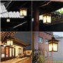 Mengjay Rétro Plafonnier d'extérieur industriel verre,Extérieur Plafond Étanche Lumières,Luminaires extérieur E27 Suspension Ext