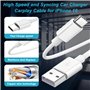Câble USB vers