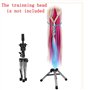 Mcwdoit Trépied Réglable De Coiffure Support de Table Tête D'Entraînement Moule Mannequin Salon Cheveux Pince De Serrage Avec Un