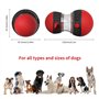 Jouet Distributeur Croquettes Chien