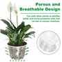 Pot Plante Intérieur Rond