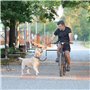 MEYAGOT Laisse pour Chien De Vélo, Pet Dog Bicycle Leash, Laisse d'exercice pour Chien Mains Libres, Laisse Rétractable en Acier